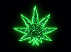 High Bud's Shop