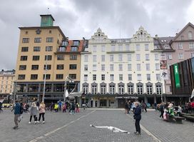 Oleana store Bergen