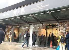 The Store X