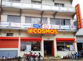 Cosmos Antsirabé