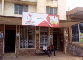 Ugachick Masaka Outlet