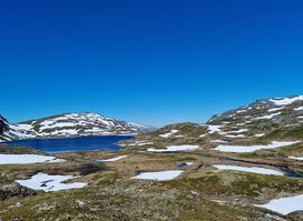 Hardangervidda National Park