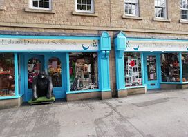 Eclectic Delights of Serendipity