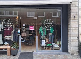 The Blind Spot