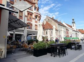 Hartman družba za glasbeno založništvo, trgovino, posredovanje, svetovanje in proizvodnjo d.o.o.
