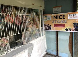 Nice Store