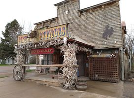 Rogue's Gallery