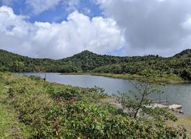Freshwater Lake Trail