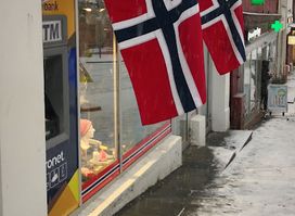Audhild Viken avd Fløyen