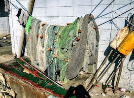 Choiseul Fishing Market