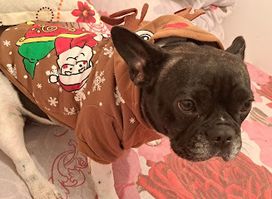 SC N&D For Pets - PROpets