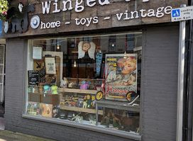 Winged Ape Vintage
