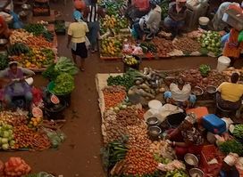 Mini Mercado Recheio