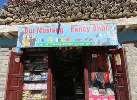 Our mustang fancy jomsom