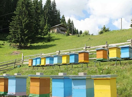 Produkte.natyrale.erioni