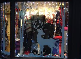 Apricot
