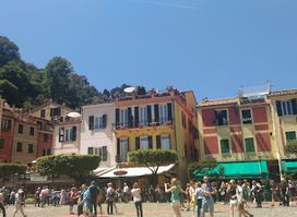 Fedeli