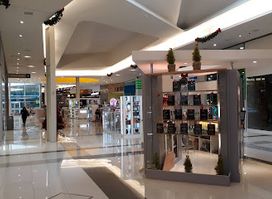 Paso Del Bosque Shopping