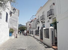 amapola