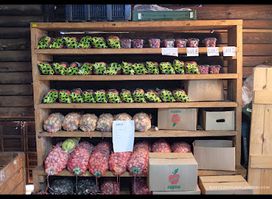 Nyamagaya Orchards and shop