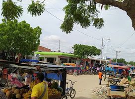 Fleas Market