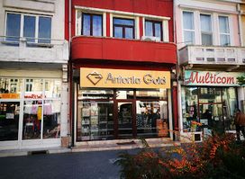ANTONIA GOLD S.R.L.