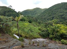 Murici Ecological Station
