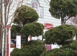 Clementsport Antiques