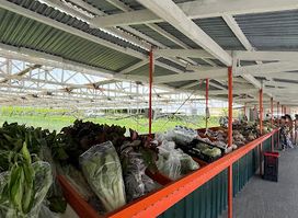 Fruits and Vegetables Market (Bazar)