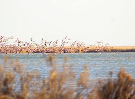 AğGöl Milli Parkı giriş