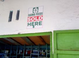 Karanja Malimali Shop