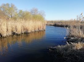 Lower Dniester National Park