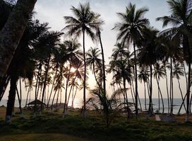 Sunset Beach Buchannan