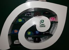 LimeCoral Jaco Store