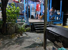 Paradise Divers