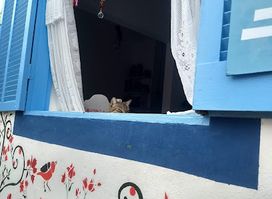 Chá.Con