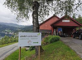 Ulvik Frukt & Cideri
