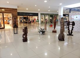Sarmiento Shopping