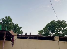 Boulangerie Mame Cheikh Mbaye