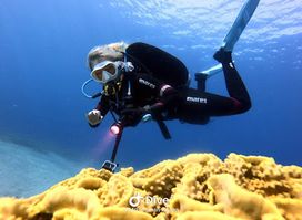Aqaba Frogman Diving Center