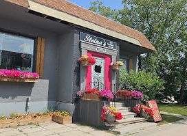Steina’s