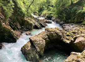 Natour Bled & Vintgar Gorge shuttle & Beer shop Bled