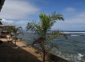 Coral Reef Bar & Restaurant