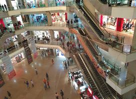 Organic India Store - Gomti Nagar, Lucknow