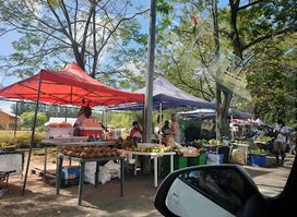 Fresh food & veg local market