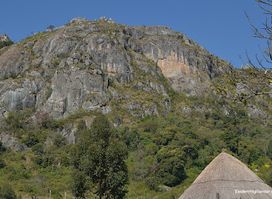 Chigodora