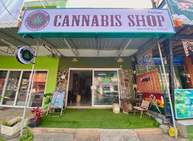 Cannabis Shop OG 98 (weed)