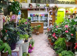 Flower shop - Gift shop IASMOS Samos
