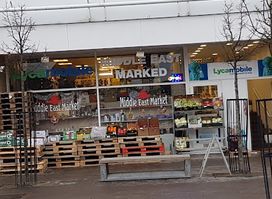 The Middle East Market