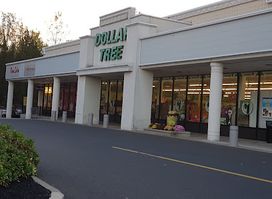Blue Star Shopping Center
